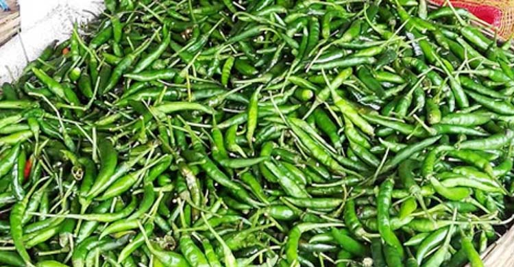সিরাজগঞ্জে অর্ধেকে নেমেছে কাঁচা মরিচের দাম