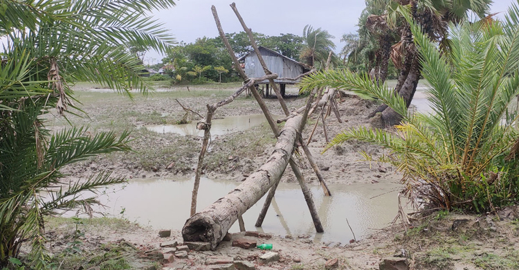 তিন কিলোমিটার রাস্তায় ৯টি সাঁকো, এলাকা ছাড়ছে মানুষজন