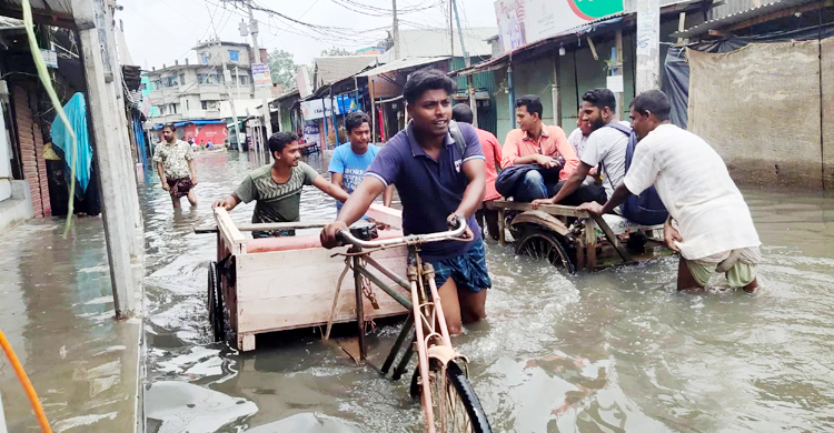 ভারি বর্ষণে কালিয়াকৈরে জলমগ্ন তিন সহস্রাধিক ঘরবাড়ি