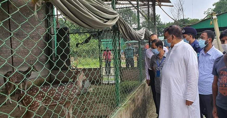 প্রকৃতি-প্রাণির সান্নিধ্যে সাভারে স্বরাষ্ট্রমন্ত্রী