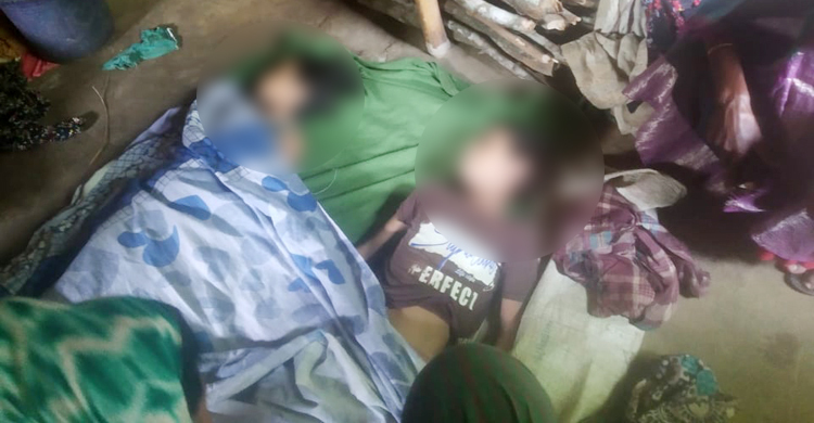ডোবার পানিতে পড়ে মামা-ভাগনির মৃত্যু