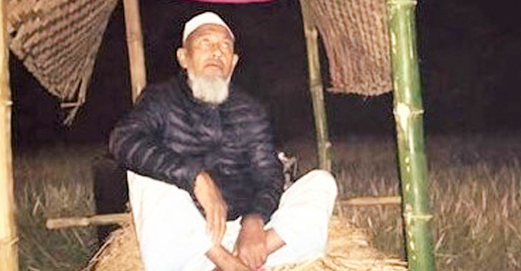 ফসলের মাঠে বন্য শূকরের হানা, রাত জেগে পাহারা