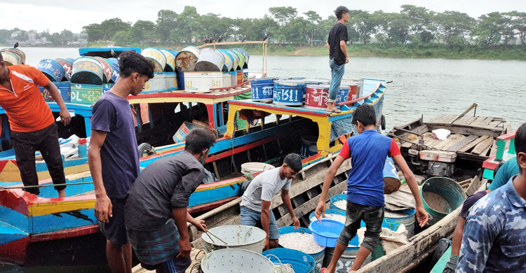 প্রাণচাঞ্চল্য ফিরেছে কাপ্তাই হ্রদে