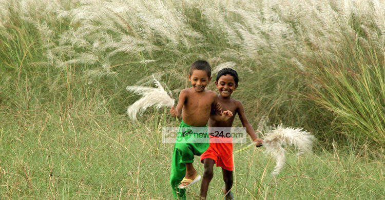 কোষ্ঠকাঠিন্য