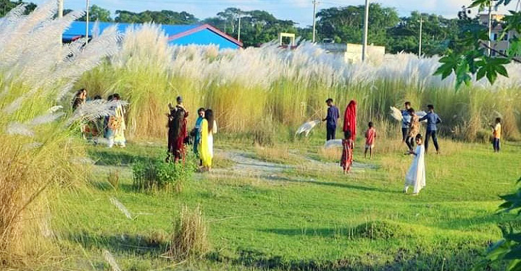 বিসিকের কাশবনে দর্শনার্থীদের ভিড়