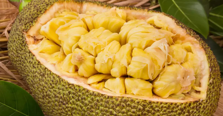 কাঁঠাল ভাঙতে বলায় গৃহকর্ত্রীকে কুপিয়ে হত্যা