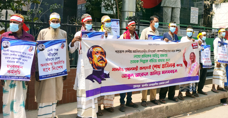 তামাক শিল্প বাঁচিয়ে রাখতে চাষিদের মানববন্ধন