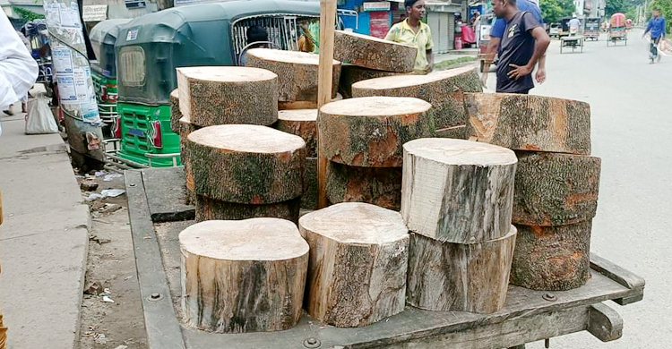 ফরিদপুরে এক খাইট্টার দাম ৩০০ টাকা