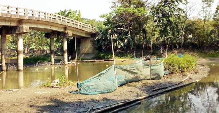 সরকারি খালে বাঁধ দিয়ে মাছ শিকার