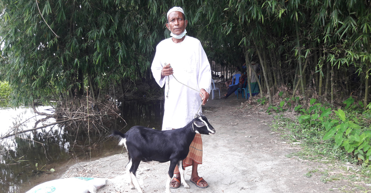এবারও শেখ হাসিনার নামে খাসি কোরবানি দিলেন তিস্তাপাড়ের আকন্দ