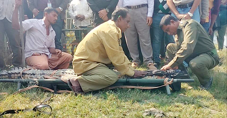 চন্দ্রমহল ইকোপার্ক থেকে জব্দ প্রাণীগুলো করমজলে অবমুক্ত