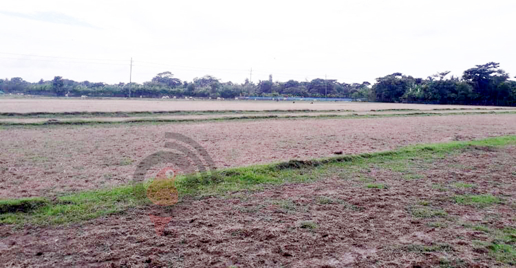 খুলনায় ভরা মৌসুমেও পানির জন্য হাহাকার, কৃষকের মাথায় হাত