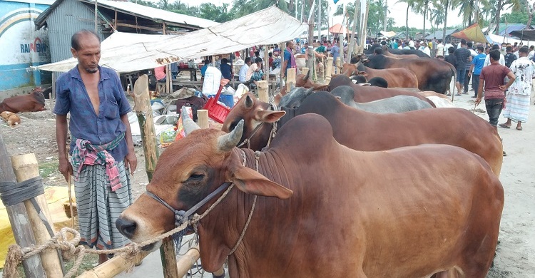জোড়াগেট হাটে ঘণ্টায় ৫ লাখ টাকা হাসিল আদায়