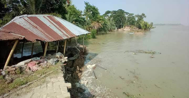 পশুর নদীতে বিলীন ২০০ মিটার বাঁধ, ১৫ ঘরবাড়ি