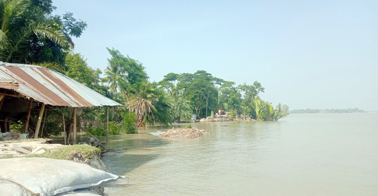 পশুর নদীতে বিলীন ২০০ মিটার বাঁধ, ১৫ ঘরবাড়ি