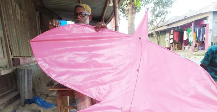 ঘুড়িতেই হাঁড়ি বসে ইলিয়াস মোল্লার চুলায়