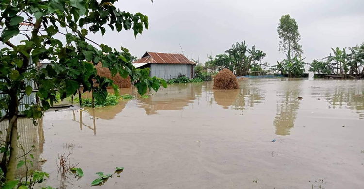 নদীর পানি বেড়ে কিশোরগঞ্জের ৪০ গ্রাম প্লাবিত