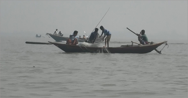 মেঘনায় ৬ ট্রলারে ডাকাতি, মুক্তিপণ দিয়ে ফিরলেন ৫ জেলে