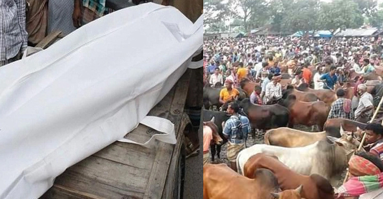 ব্রাহ্মণবাড়িয়ায় গরু বাঁধার জায়গা নিয়ে সংঘর্ষে যুবক নিহত