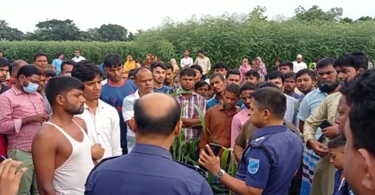 ভুট্টাক্ষেতে মিললো নিখোঁজ বৃদ্ধের মরদেহ
