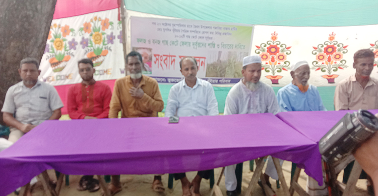 রাতের আঁধারে বাগানের গাছ কেটে দিলো দুর্বৃত্তরা