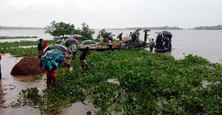 পাট কাটতে গিয়ে ঝড়ের কবলে নিখোঁজ শ্রমিকের মরদেহ উদ্ধার