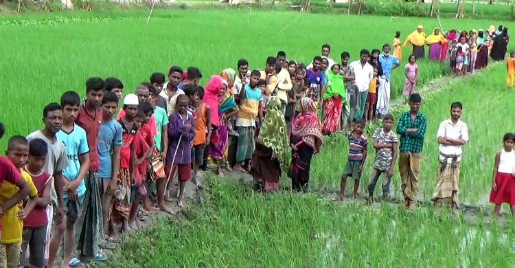 ধানক্ষেতে পড়েছিল গলায় গামছা পেঁচানো লাশ