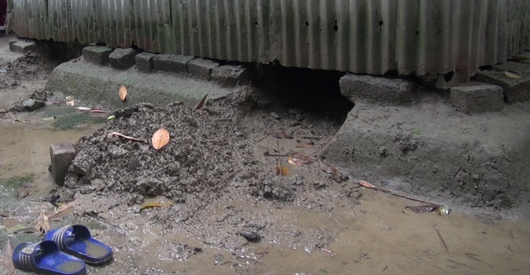 ঘরের সিঁদ কেটে ঘুমন্ত শিশুকে তুলে নিয়ে ধর্ষণ