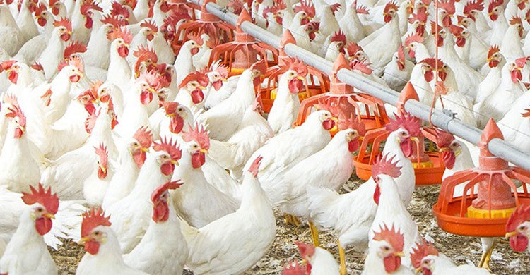 Jinsiy aloqada bolgan ayollarning shaxsiy fotosuratlari