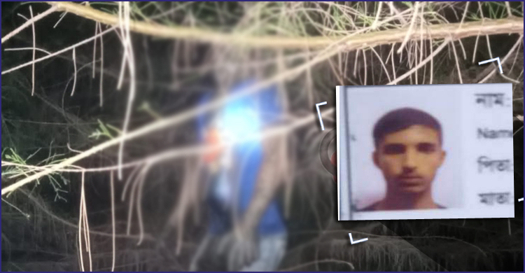 কুয়াকাটায় ঝাউগাছে ঝুলছিল যুবকের অর্ধগলিত মরদেহ
