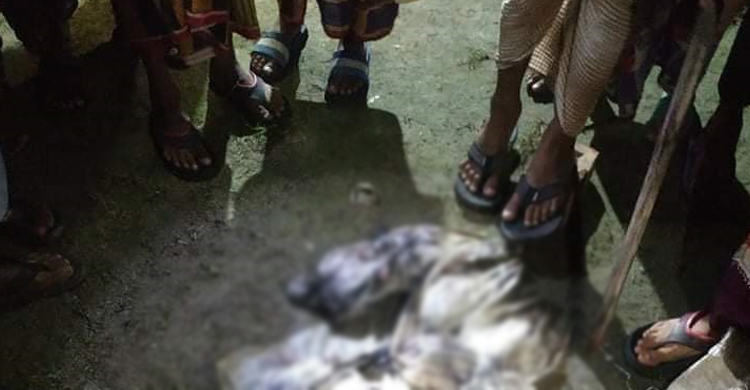 বস্তাবন্দি মৃত কবুতর উদ্ধারের ঘটনা তদন্তে পুলিশ