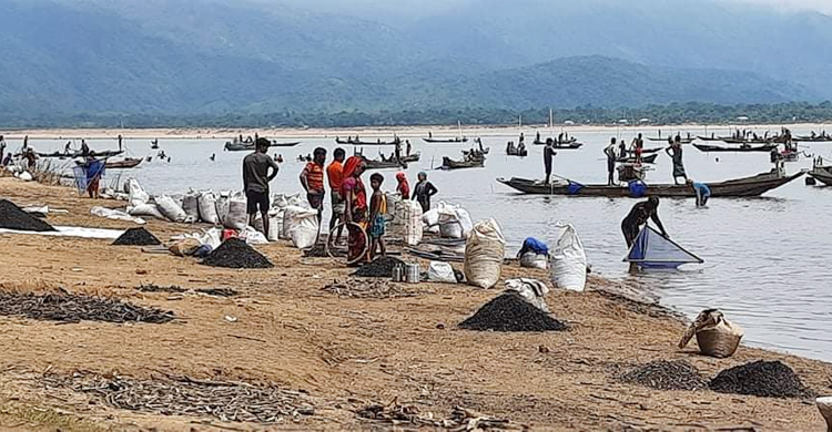 কয়লায় জীবিকা