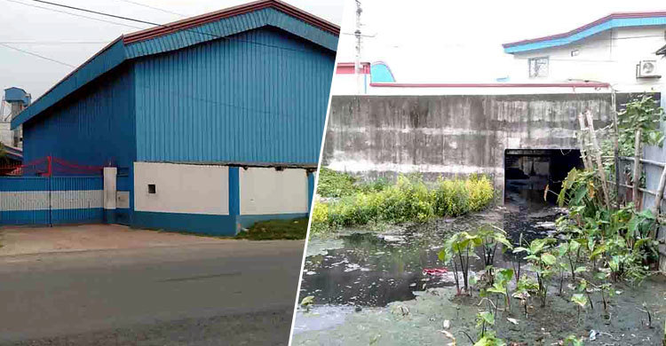 চাল কলের দুষিত পানিতে আড়াইশ বিঘা জমির ফসলের ক্ষতি