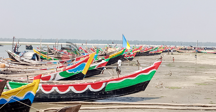 কলাপাড়ায় প্রধানমন্ত্রীকে বরণে সেজেছে ২০০ নৌকা