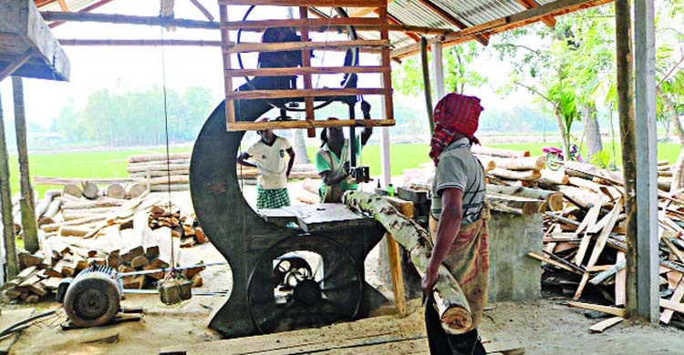 ন্যায্য মজুরি ঘোষণার দাবি করাতকল শ্রমিকদের