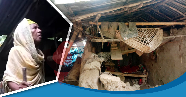ভাঙা কুঁড়ে ঘরেই কাটে ফুরকুনি বেগমের দিন