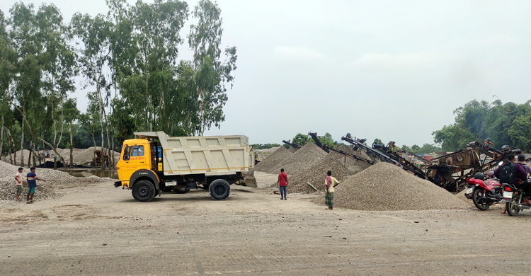 ৯ দিন পর সোনাহাট স্থলবন্দর দিয়ে আমদানি-রপ্তানি