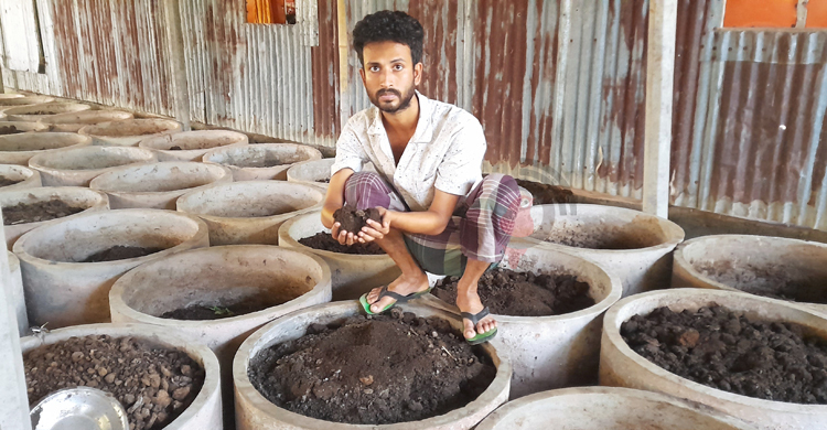 ‘কেঁচো সার’ বেচে মামুনের মাসিক আয় ২২ হাজার টাকা