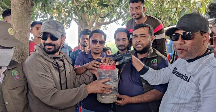গড়াইয়ের পাড় থেকে রাসেল ভাইপারের বাচ্চা উদ্ধার