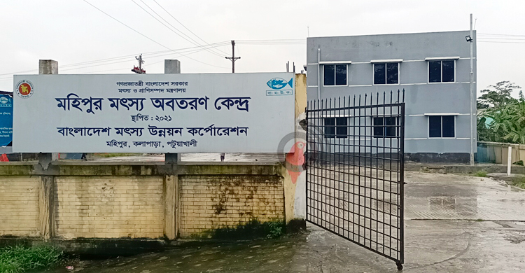 উদ্বোধনের এক বছরেও চালু হয়নি মহিপুর মৎস্য অবতরণ কেন্দ্র