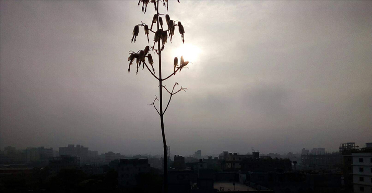 ঢাকায় হঠাৎ কুয়াশা