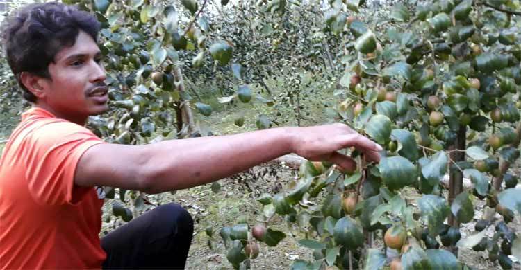 প্রথমবারেই বাম্পার মুদি ব্যবসায়ী আওলাদ