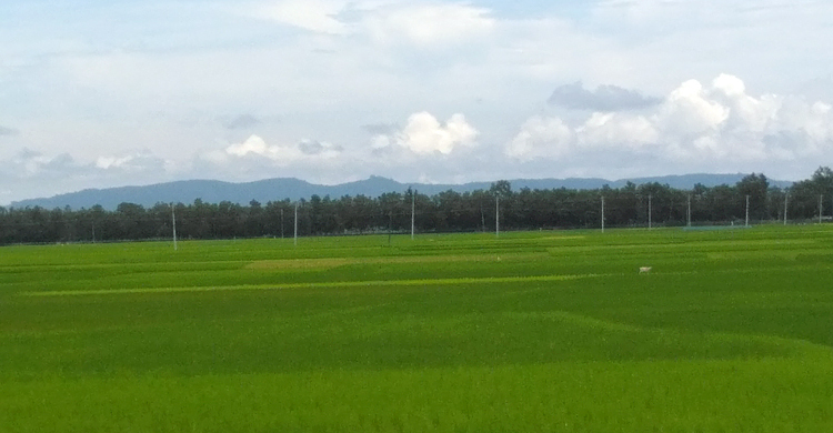 সীমান্ত থেকে বাংলাদেশিকে ধরে নিয়ে গেছে বিএসএফ