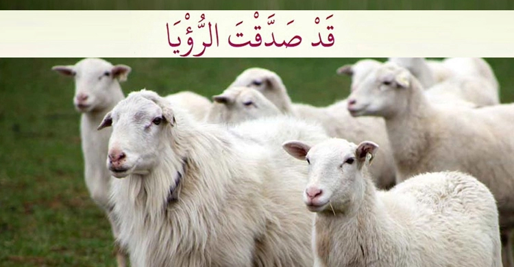 হজরত ইবরাহিমের (আ.) কোরবানির পশুর আকৃতি ও নাম