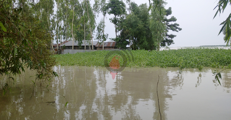 এখনো বিপৎসীমার ওপর ব্রহ্মপূত্র-ধরলা, খাদ্য সংকটে বানভাসিরা
