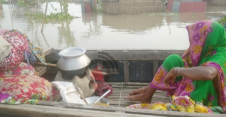 ৭ দিন ধরে নৌকায় মানবেতর জীবন জালাল-মহিরন দম্পতির