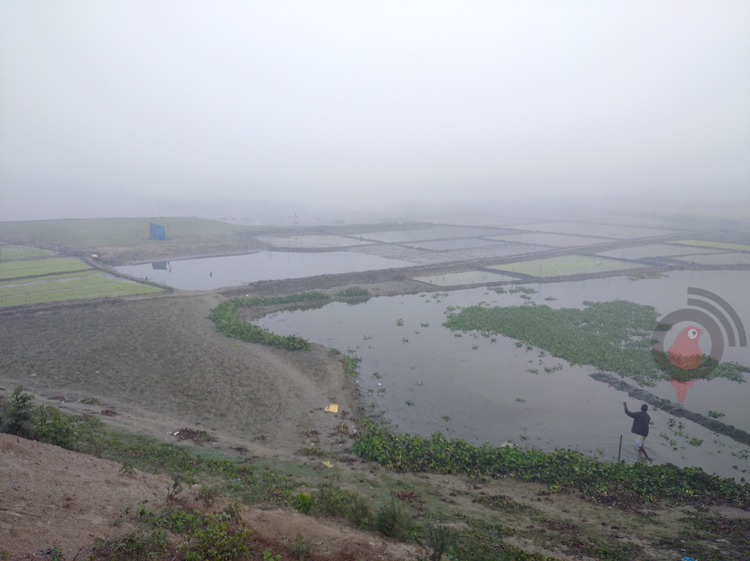 কুড়িগ্রামে শৈত্যপ্রবাহে বিপর্যস্ত জনজীবন