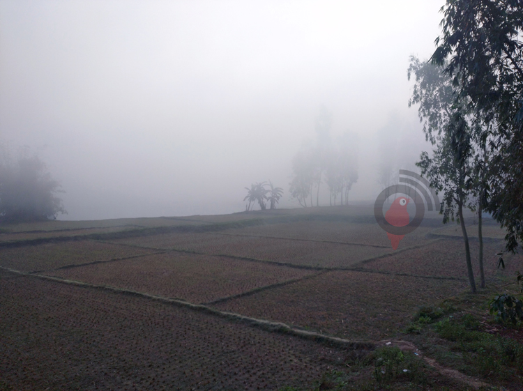 কুড়িগ্রামে শৈত্যপ্রবাহে বিপর্যস্ত জনজীবন