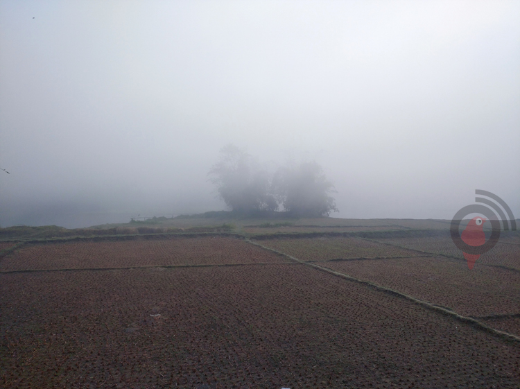 কুড়িগ্রামে শৈত্যপ্রবাহে বিপর্যস্ত জনজীবন