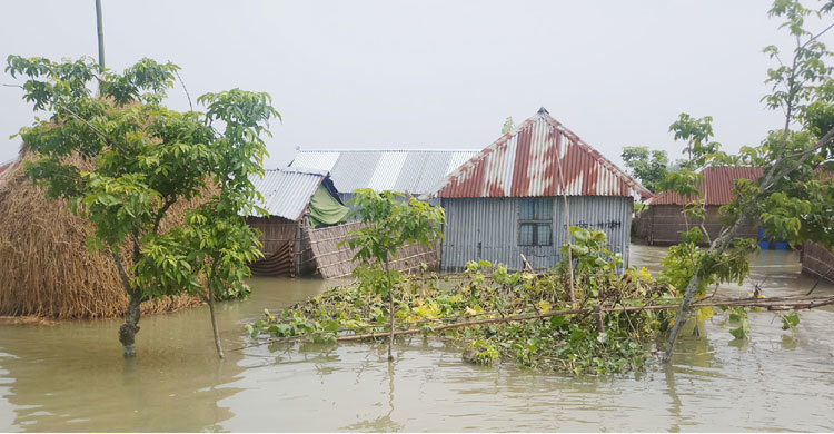 বন্যার পানিতে ডুবে প্রাণ গেল দুই শিশুর